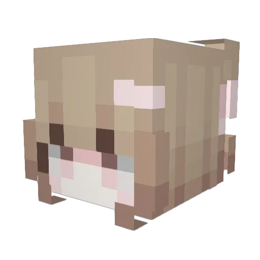 gmly Minecraft avatar head, 3D render