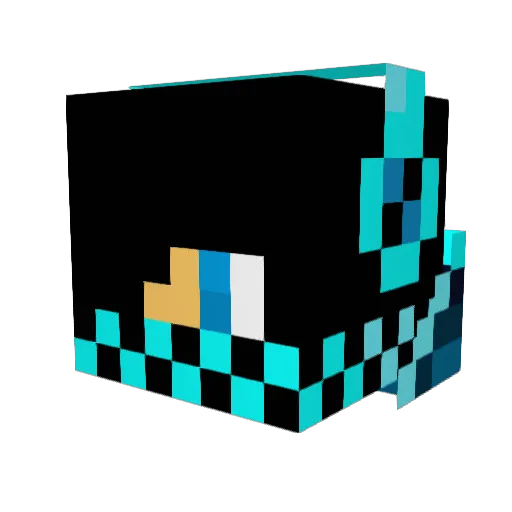 gnar953 Minecraft avatar head, 3D render