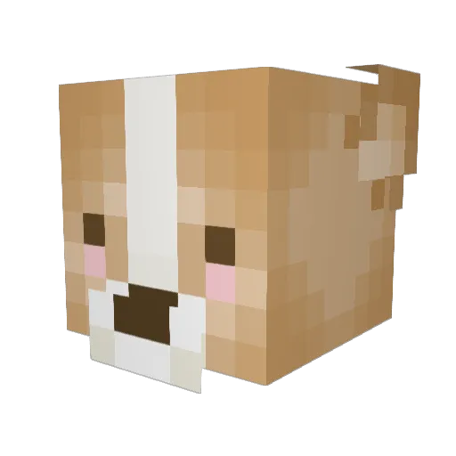 gnarlycaveman Minecraft avatar head, 3D render