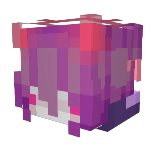 gnarlynyx Minecraft avatar head, 3D render