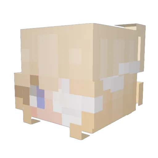 gnde Minecraft avatar head, 3D render