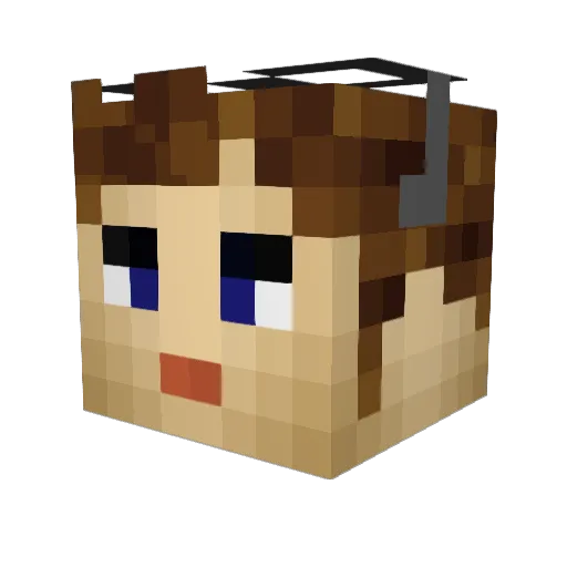 Minecraft-Avatar von gnembon: Kopf als 3D-Render