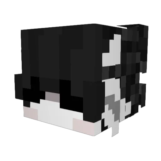 gnfrankie Minecraft avatar head, 3D render