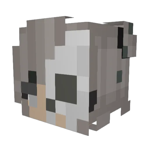 gnoamer Minecraft avatar head, 3D render
