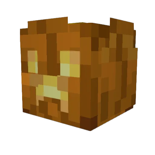 gnome49 Minecraft avatar head, 3D render