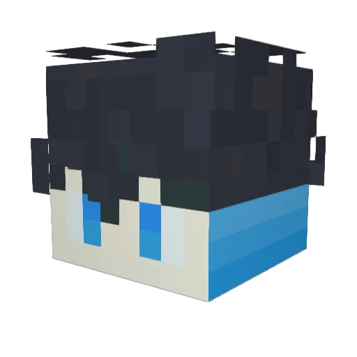 gnomecake Minecraft avatar head, 3D render
