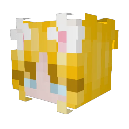 gnomeneige Minecraft avatar head, 3D render
