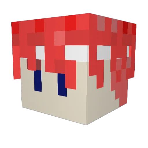 gnotobybyby Minecraft avatar head, 3D render
