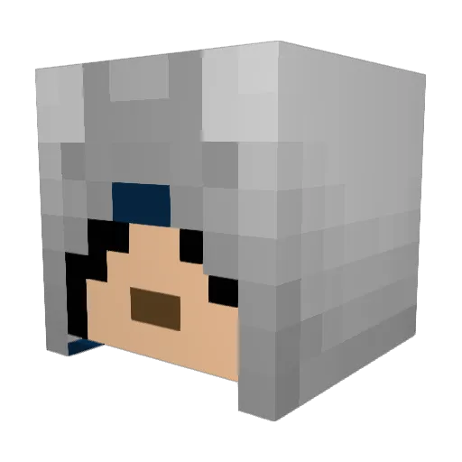 go4dunny Minecraft avatar head, 3D render