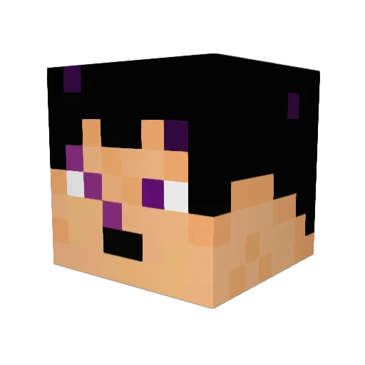 go5500 Minecraft avatar head, 3D render