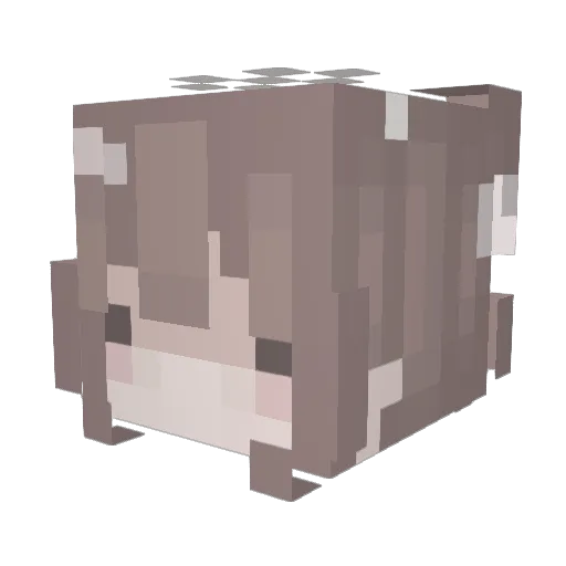 goaway6789 Minecraft avatar head, 3D render