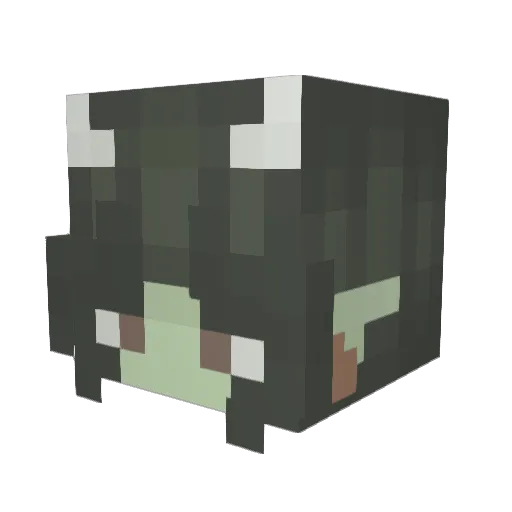 gob_lynn Minecraft avatar head, 3D render