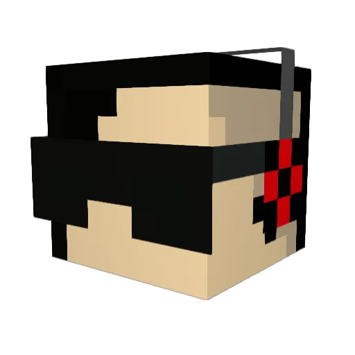 gobacktoconsole Minecraft avatar head, 3D render