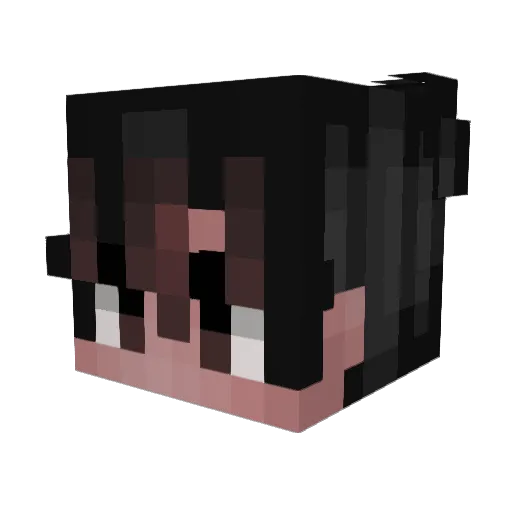 goblue1104 Minecraft avatar head, 3D render
