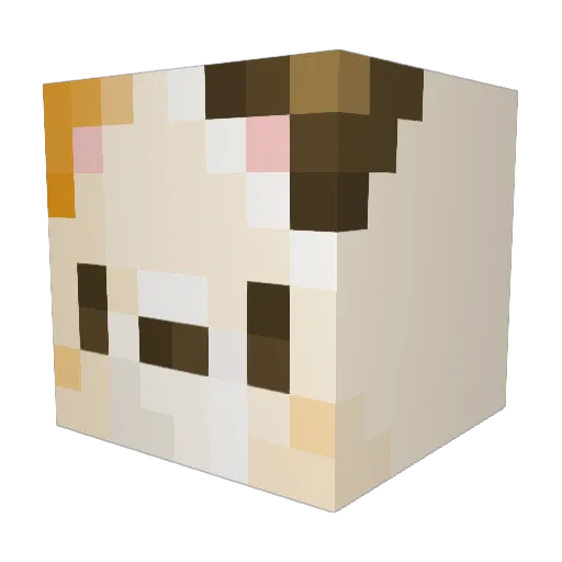 god_oogly Minecraft avatar head, 3D render