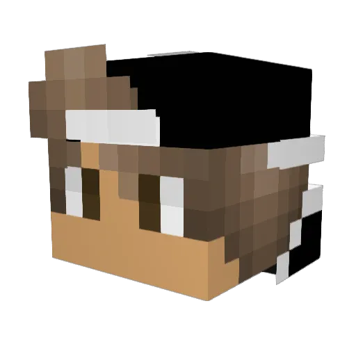 godez2575 Minecraft avatar head, 3D render