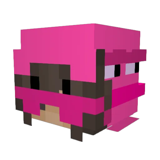 gofrownica Minecraft avatar head, 3D render