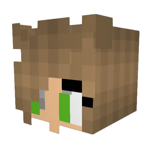 gogarty Minecraft avatar head, 3D render