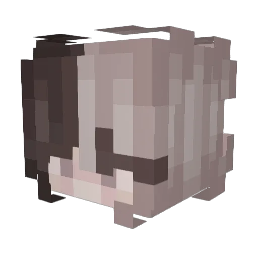 goggles_goggles Minecraft avatar head, 3D render