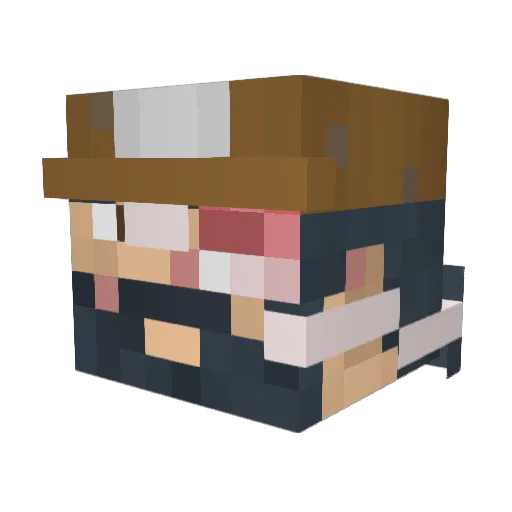 gogobaronbunny2 Minecraft avatar head, 3D render