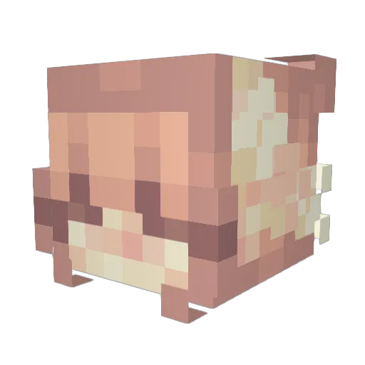 gogogreg Minecraft avatar head, 3D render