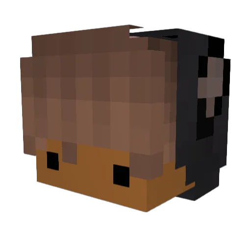 gogorensqueeze Minecraft avatar head, 3D render