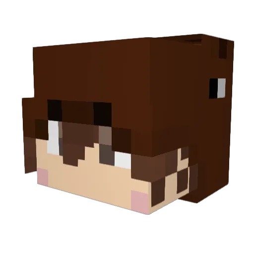 gokken Minecraft avatar head, 3D render