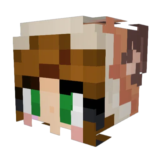 goldcoop18 Minecraft avatar head, 3D render