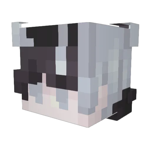 goldenmaster1998 Minecraft avatar head, 3D render