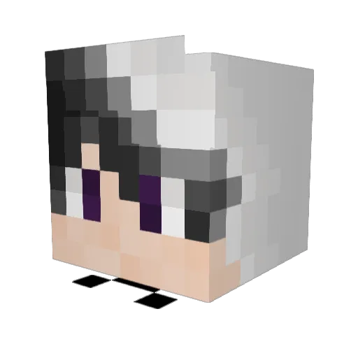 goldenpug2016 Minecraft avatar head, 3D render