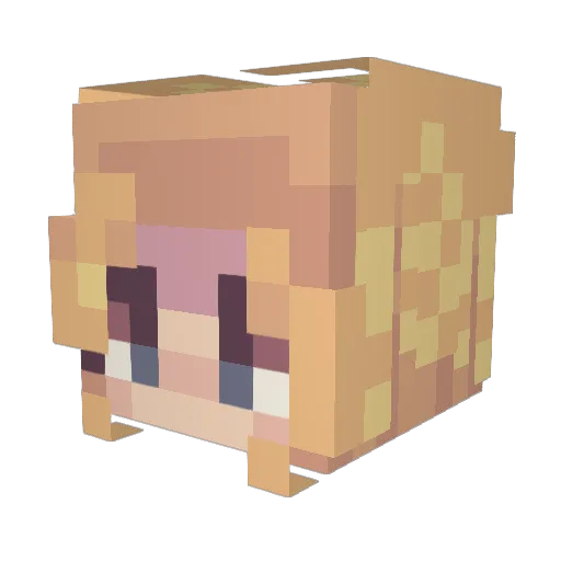 goldfish_123 Minecraft avatar head, 3D render