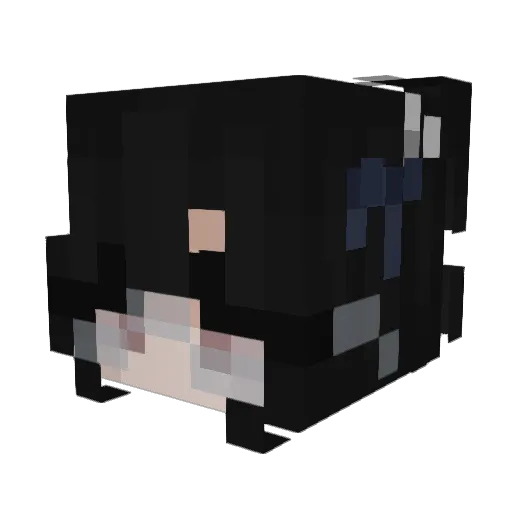 goldfish_989 Minecraft avatar head, 3D render