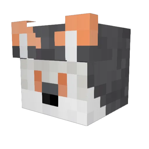 golfcartsss Minecraft avatar head, 3D render