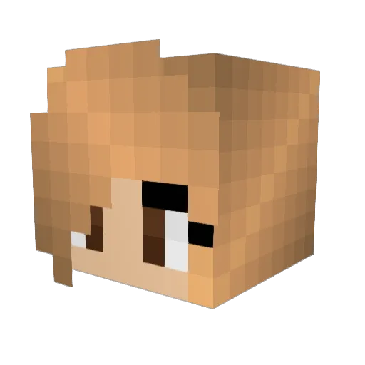 golferninja Minecraft avatar head, 3D render