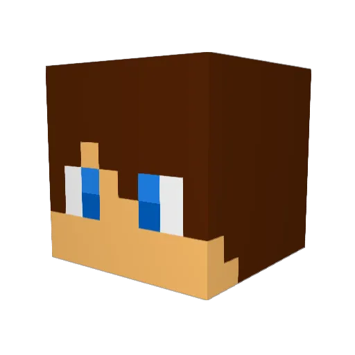 golpe2014 Minecraft avatar head, 3D render