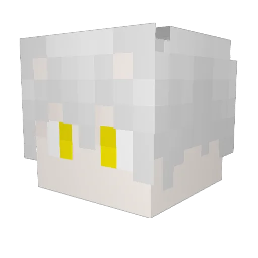 gomatti511 Minecraft avatar head, 3D render