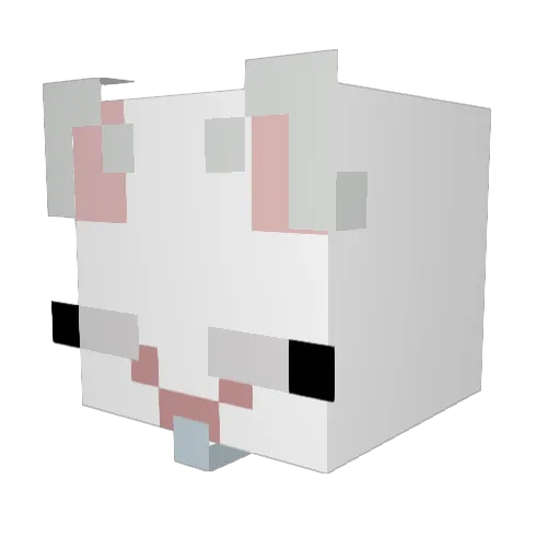 gomeomi Minecraft avatar head, 3D render