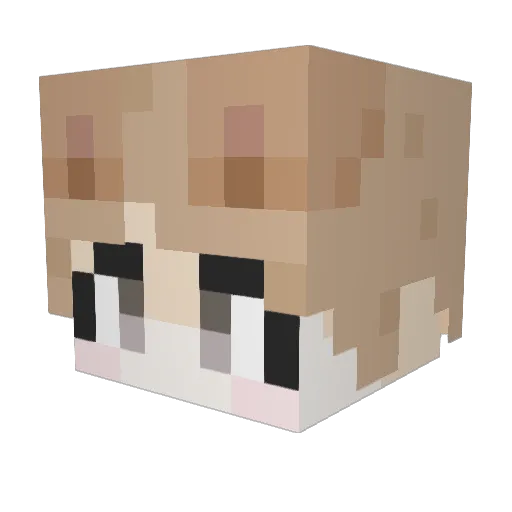 gonayng Minecraft avatar head, 3D render