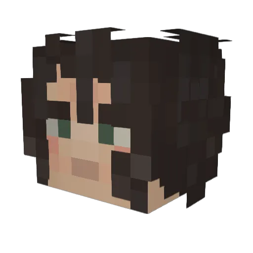 gonefield Minecraft avatar head, 3D render