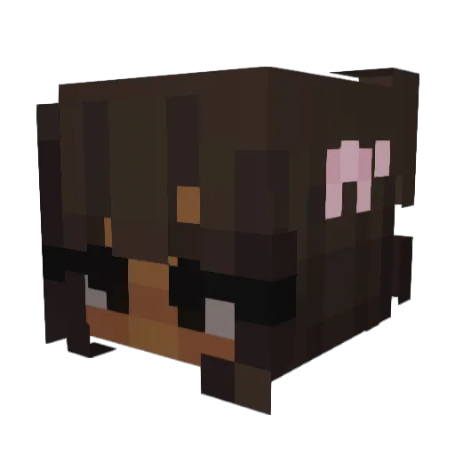gongswon Minecraft avatar head, 3D render