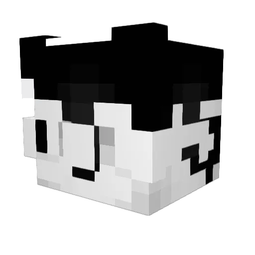 gonk8t1 Minecraft avatar head, 3D render