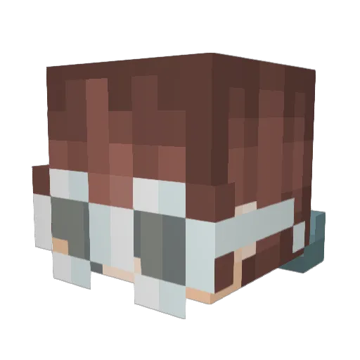 gonnyduke Minecraft avatar head, 3D render