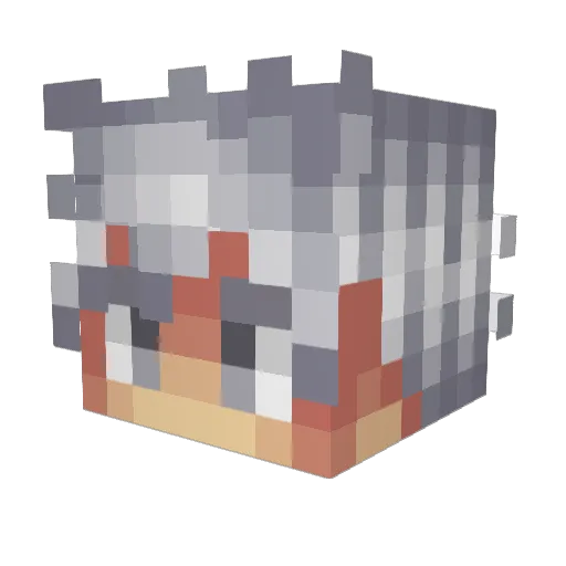 gonzalogonzalito Minecraft avatar head, 3D render