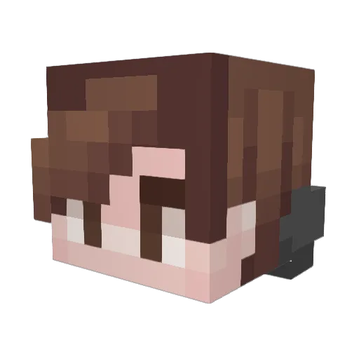 goodapplelover2 Minecraft avatar head, 3D render
