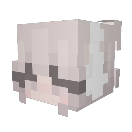 goofyfrog Minecraft avatar head, 3D render