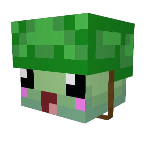 googly_turtle Minecraft avatar head, 3D render