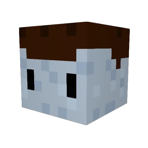 goomar_ Minecraft avatar head, 3D render