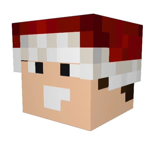goomba91 Minecraft avatar head, 3D render
