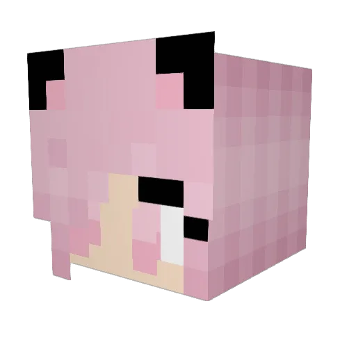 goonimator Minecraft avatar head, 3D render