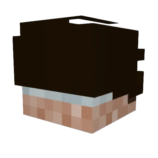 goopwyd Minecraft avatar head, 3D render